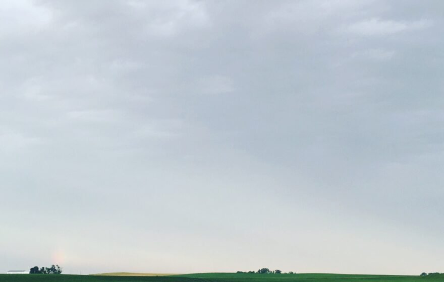 Lush green soybean field